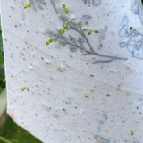 A little birdie told me - seed card