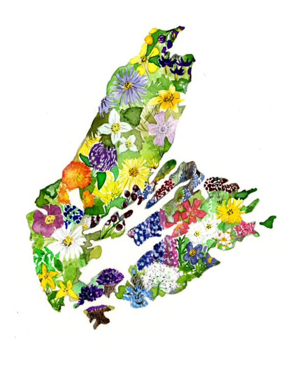 Sarah Duggan Creative Works Prints - Cape Breton Wildflowers