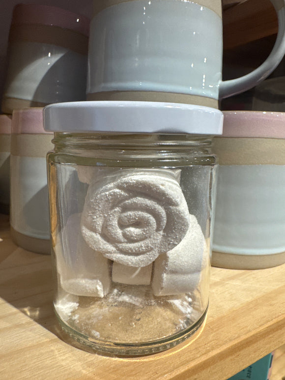 Eucalyptus Shower Steamers