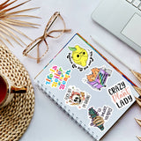 Hot Mess Express Vinyl Sticker, Aesthetic Sticker for Laptop: Loose