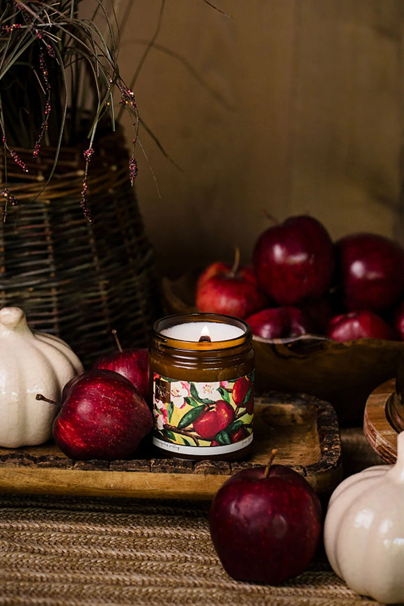 Annapolis valley Noel & co candle