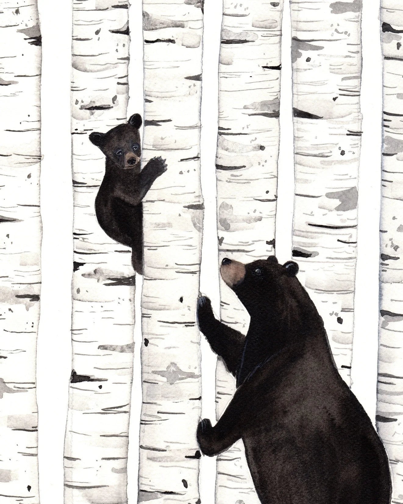 Bears and Birch Card - Sarah duggan