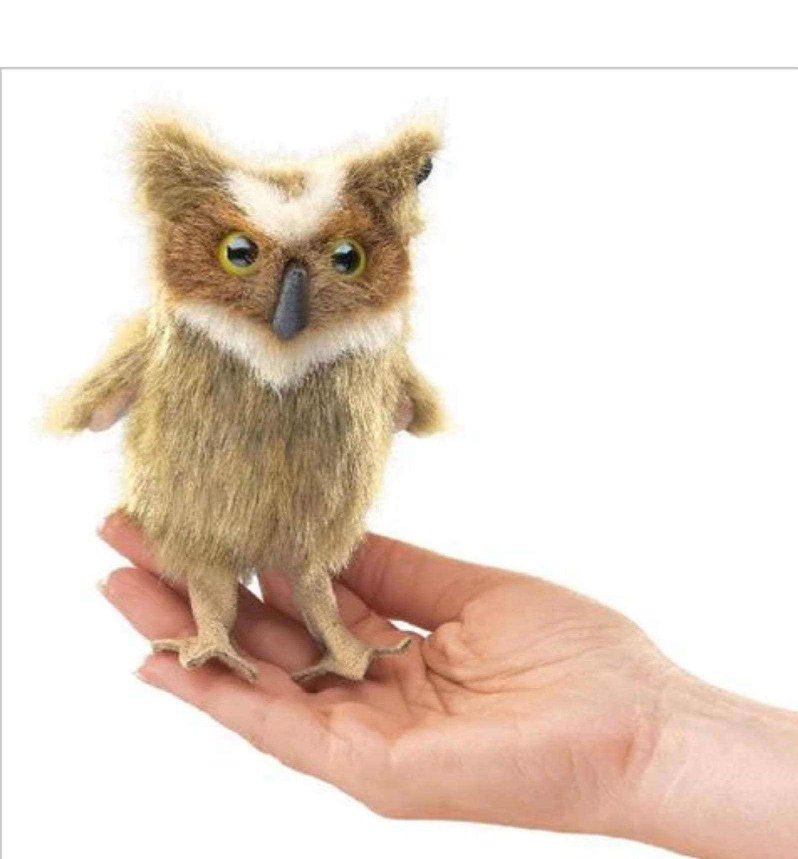 Owl Great Horned
