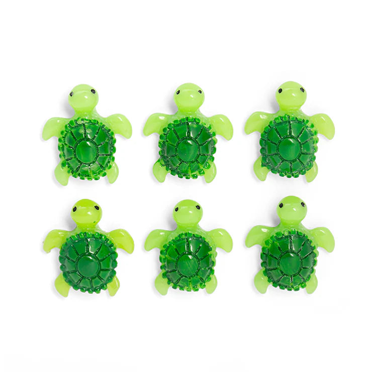 Baby Turtle Magnets