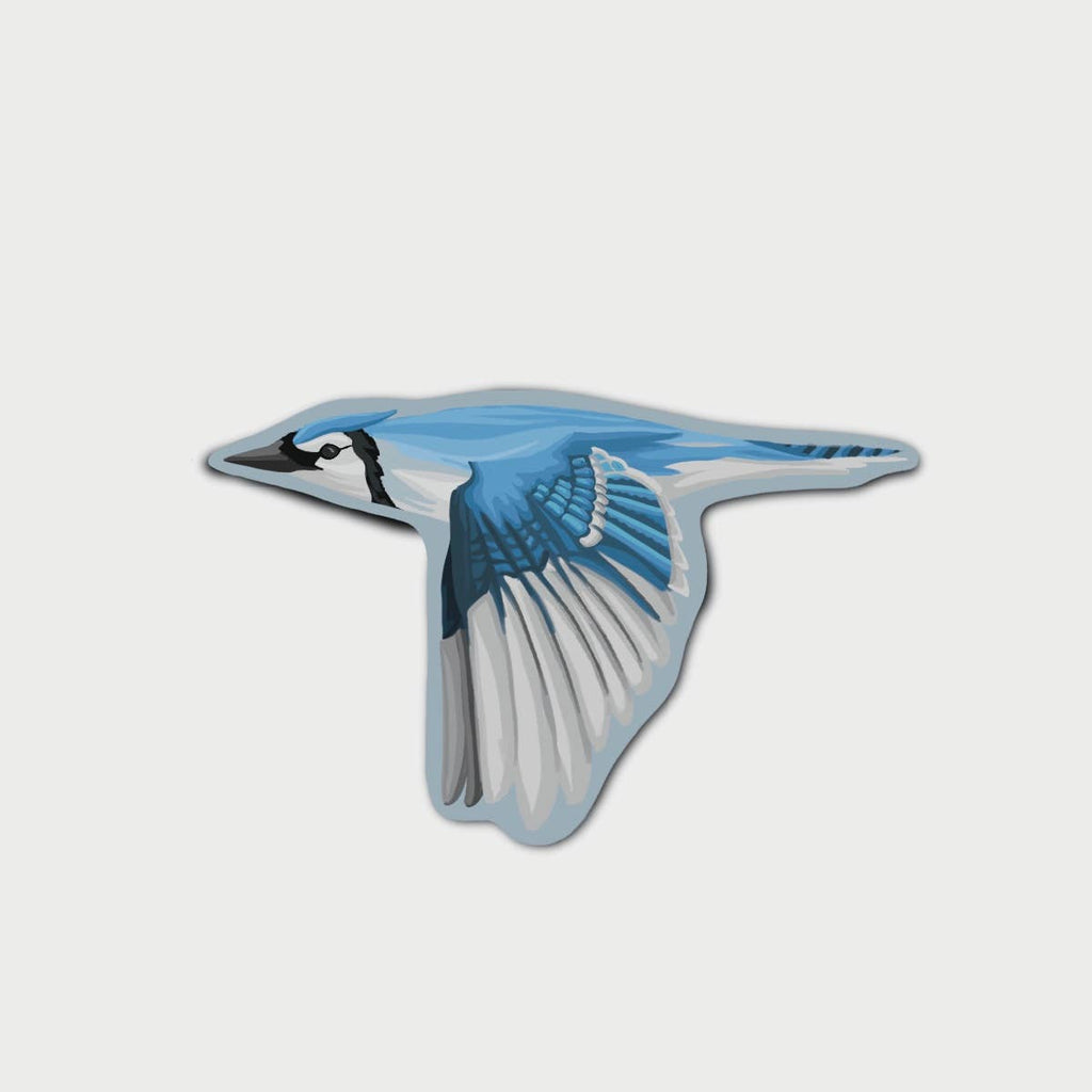 Blue Jay Sticker | Bird, Canada, Nature, Baseball, Toronto: No Words