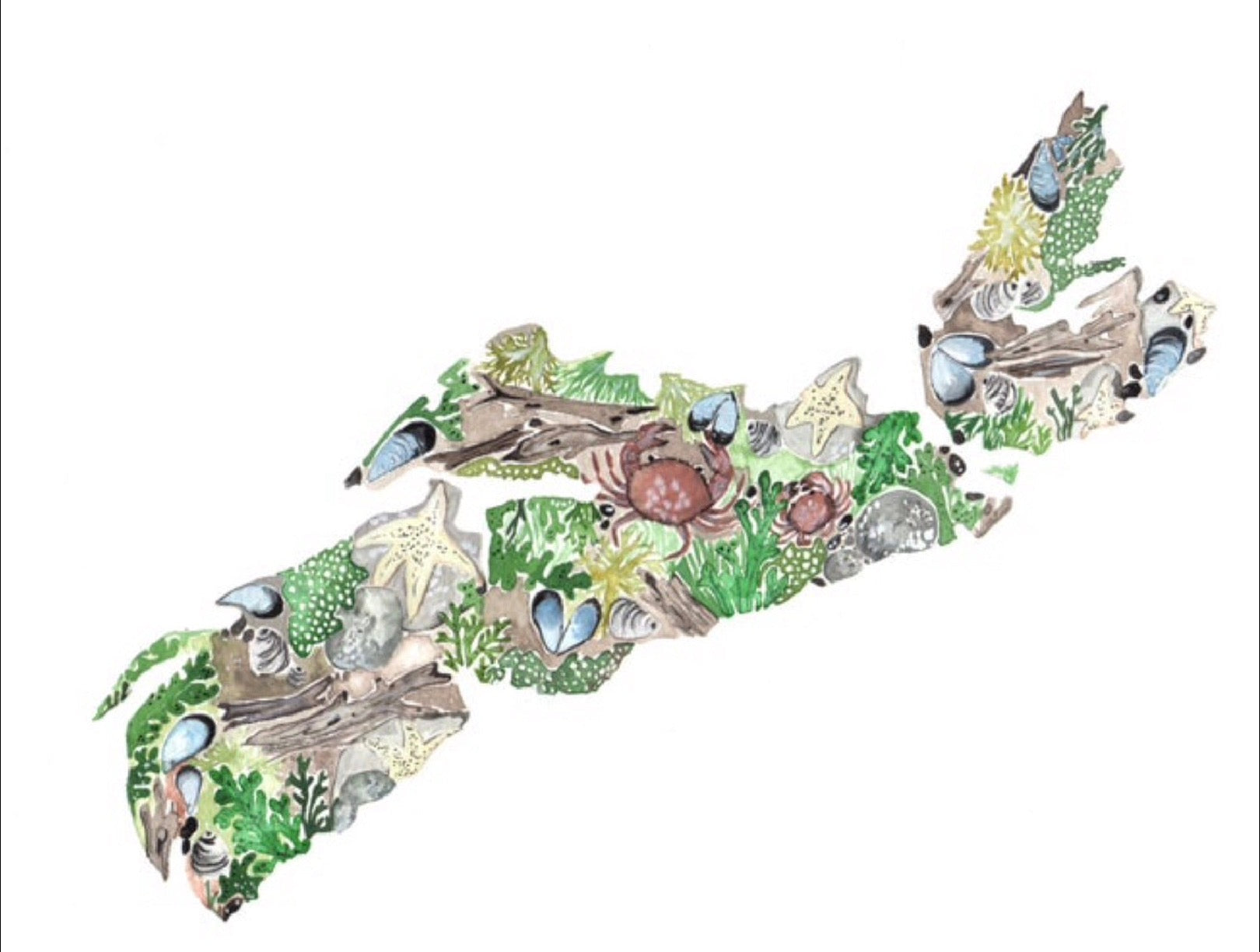 Nova Scotia Provincial Map Shoreline with Crab CARD - Sarah Duggan