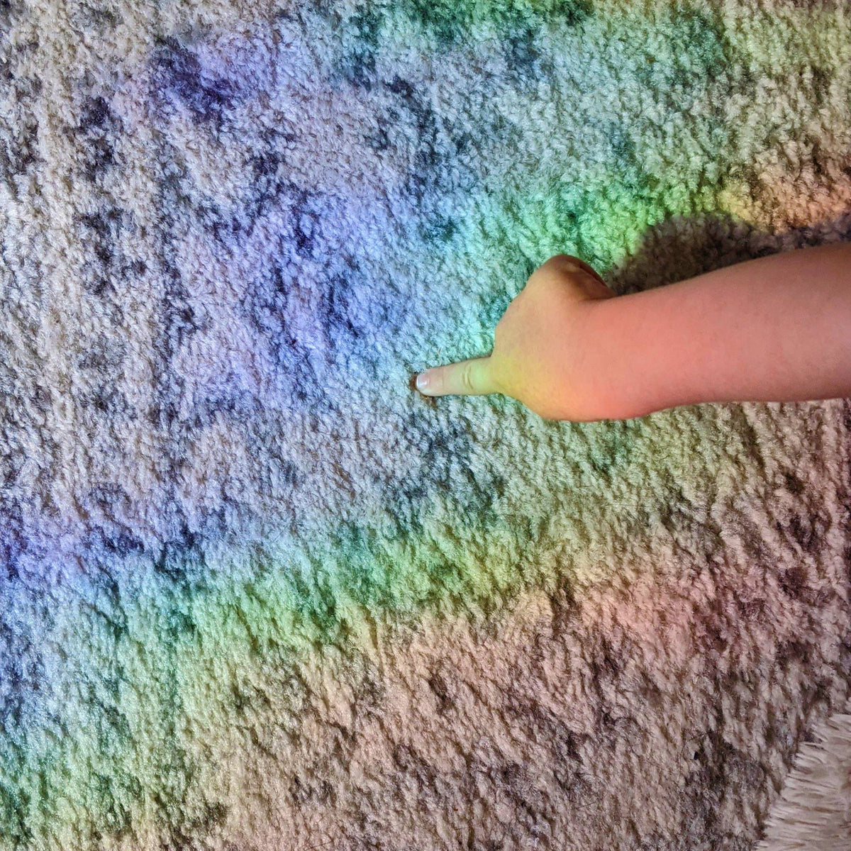 Snail Suncatcher, Window Sticker, Rainbow Maker