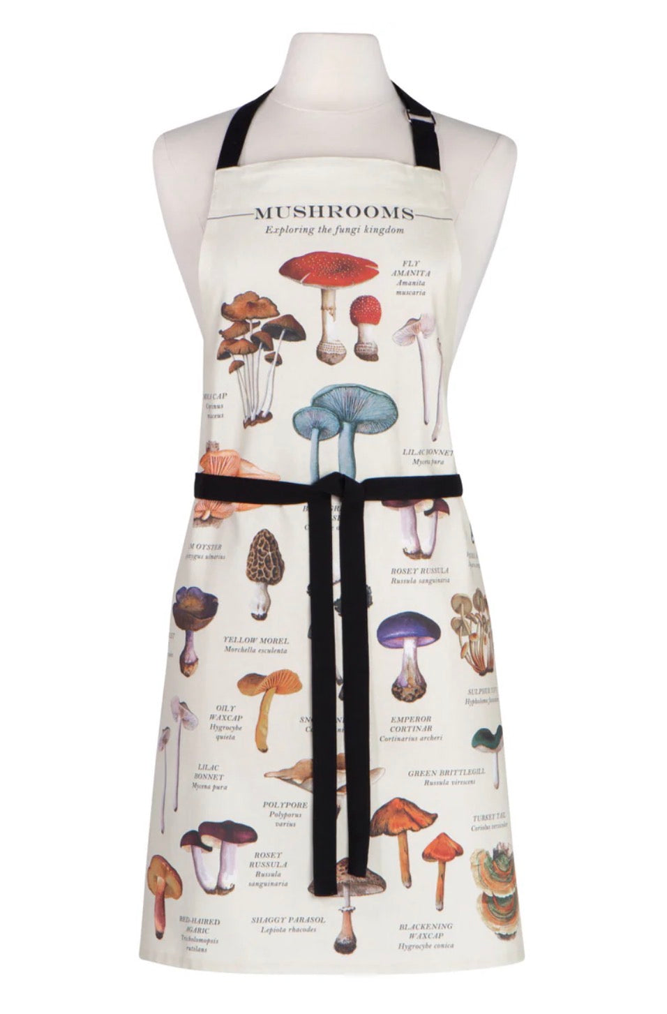 Apr Fine Print Mushroom