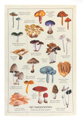 Mushroom Fine Print Dishtowel