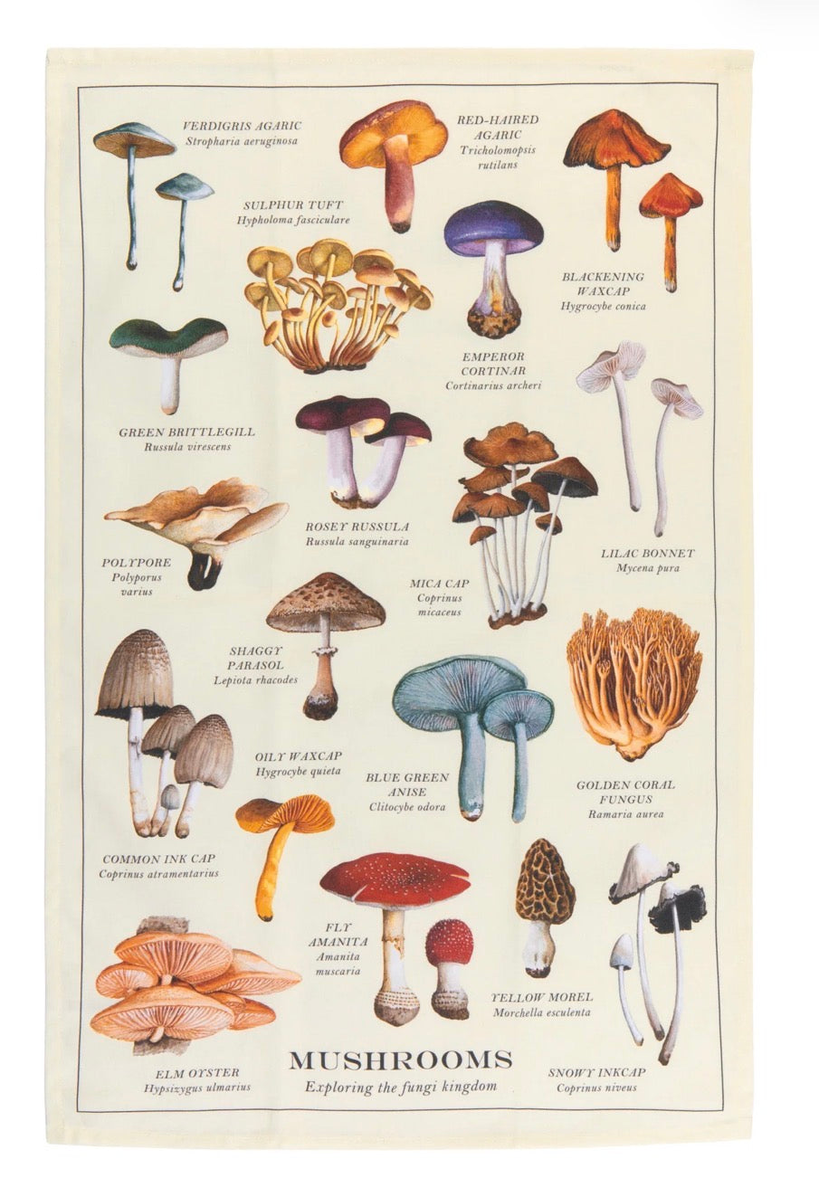 Mushroom Fine Print Dishtowel