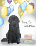 Time to Celebrate Newfoundland dog - Sarah Duggan Card