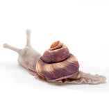 Mini Snail Finger Puppet