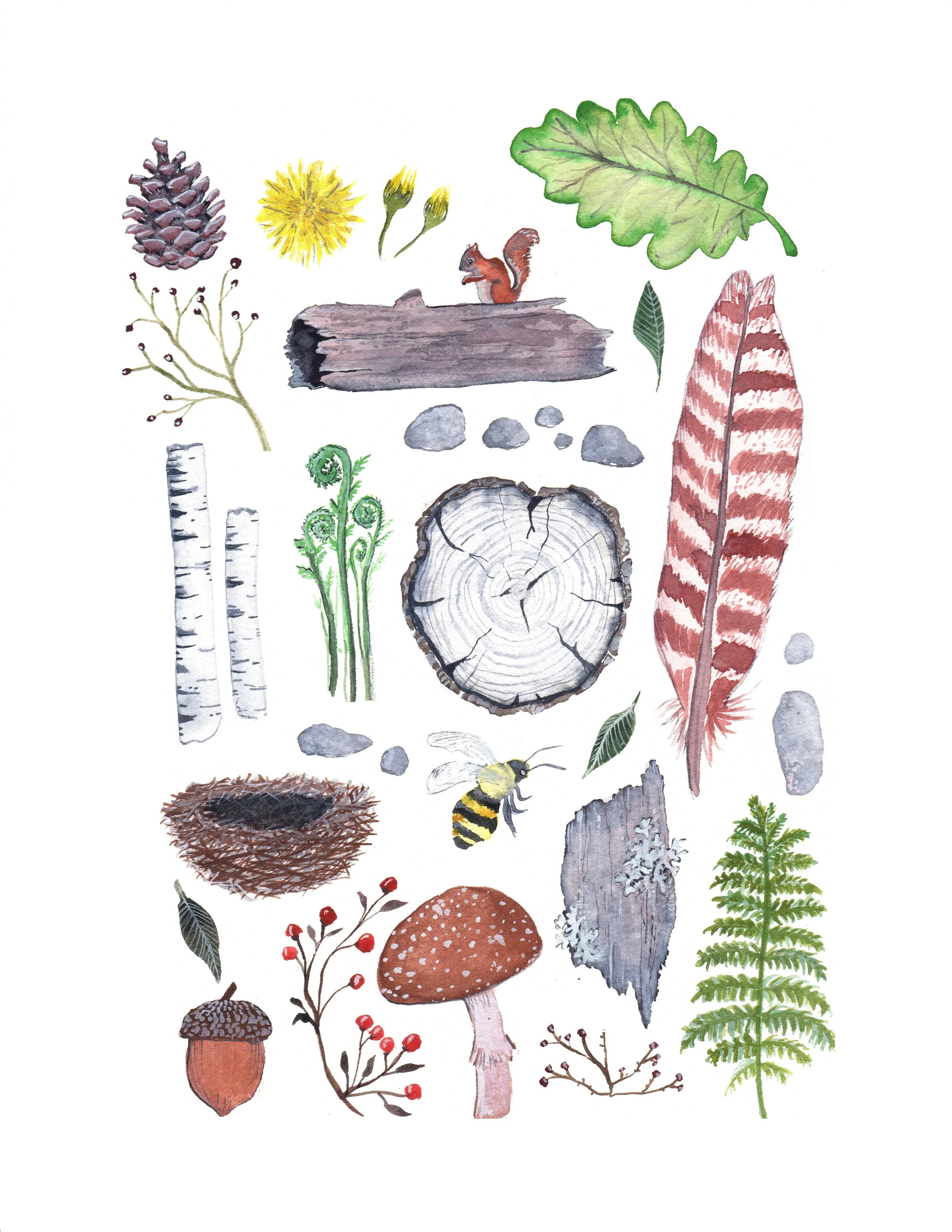 Ode To Woods - Sarah Duggan