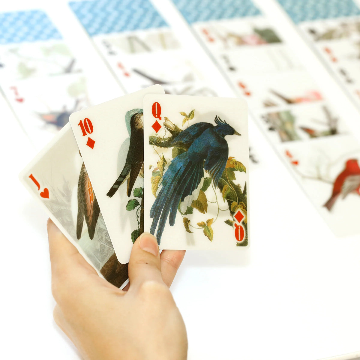 Birds playing cards