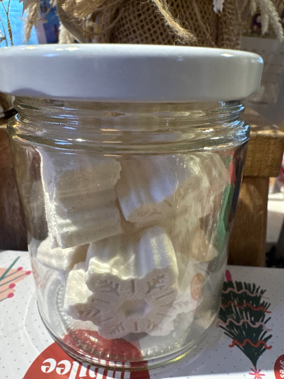 Eucalyptus Pine Shower Steamers