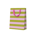 Pink and green striped gift bag