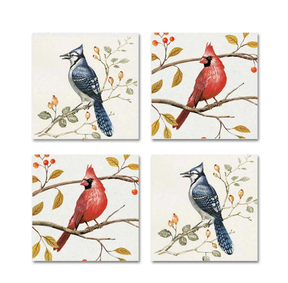 Bird. coasters (Set of 4)
