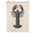 Lobster Print Kitchen Tea Towel