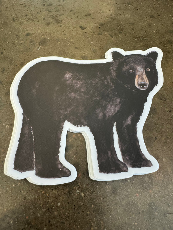 Bear Sticker