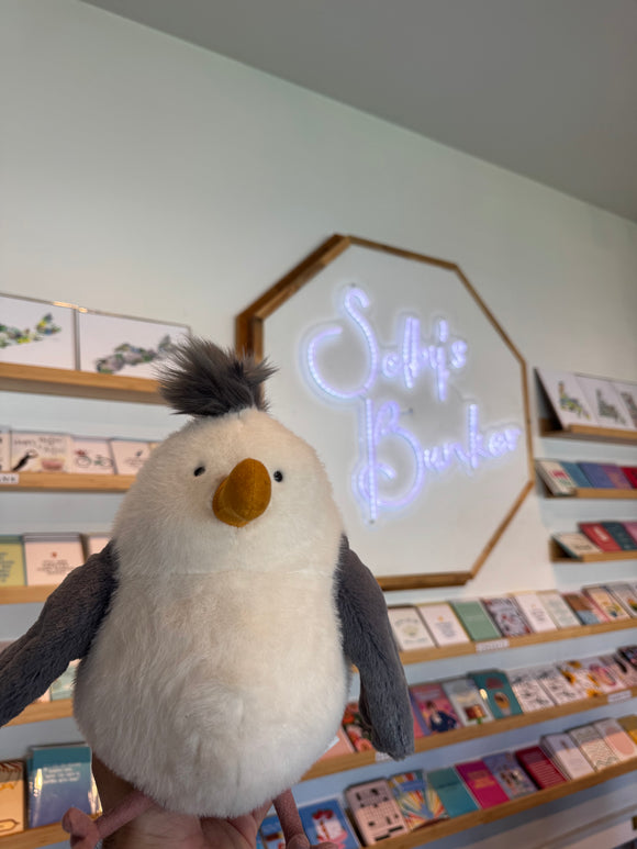 Chip Seagull