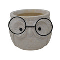 Owl Pot with Glasses