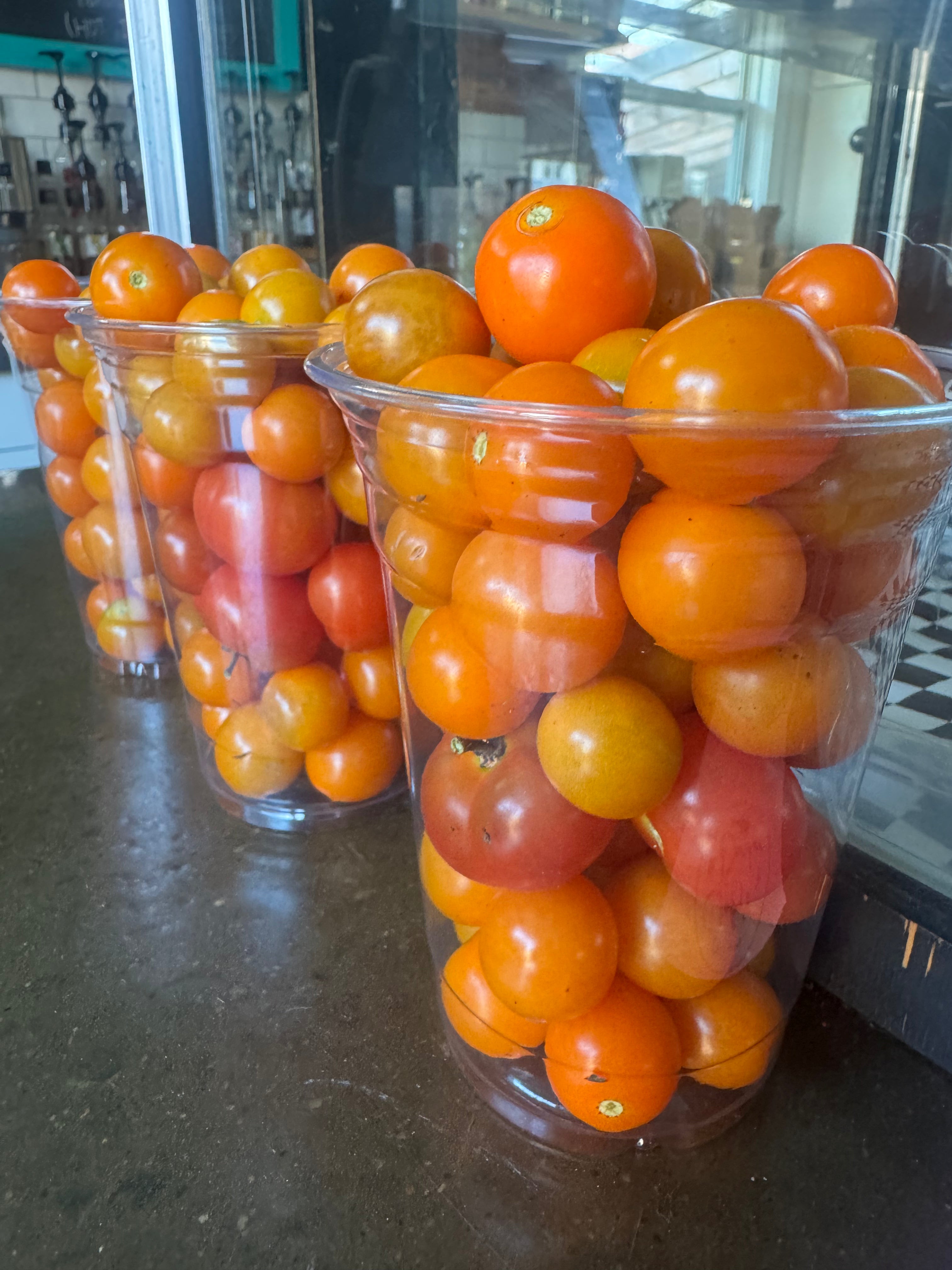 Cup of Cherry Tomatos 16oz