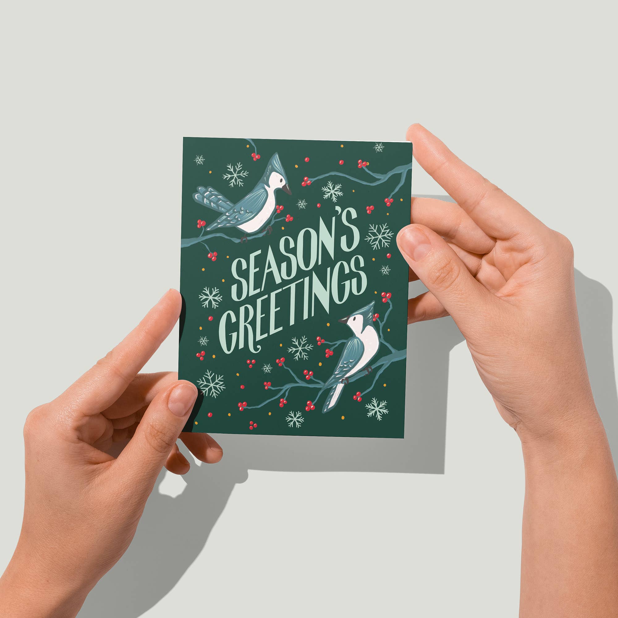 Blue Jay Season's Greetings Holiday Card
