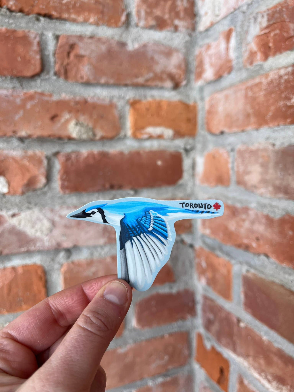 Blue Jay Sticker | Bird, Canada, Nature, Baseball, Toronto: No Words