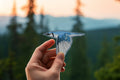 Blue Jay Sticker | Bird, Canada, Nature, Baseball, Toronto: No Words