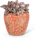 Small Strawberry Planter