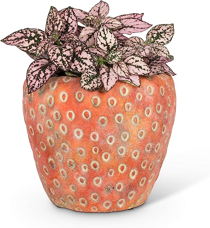 Small Strawberry Planter