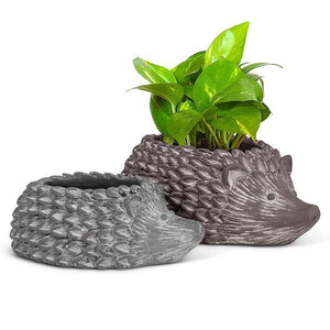 Hedgehog Planter -Large
