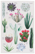 Botanical Cacti