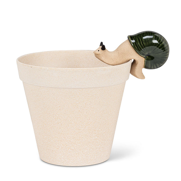 Climbing Snail Plant Hanger