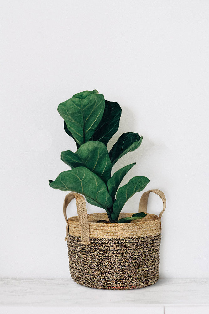 Round Basket with Handles