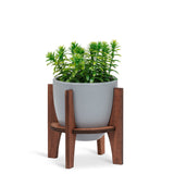 Grey Pot with Wooden stand