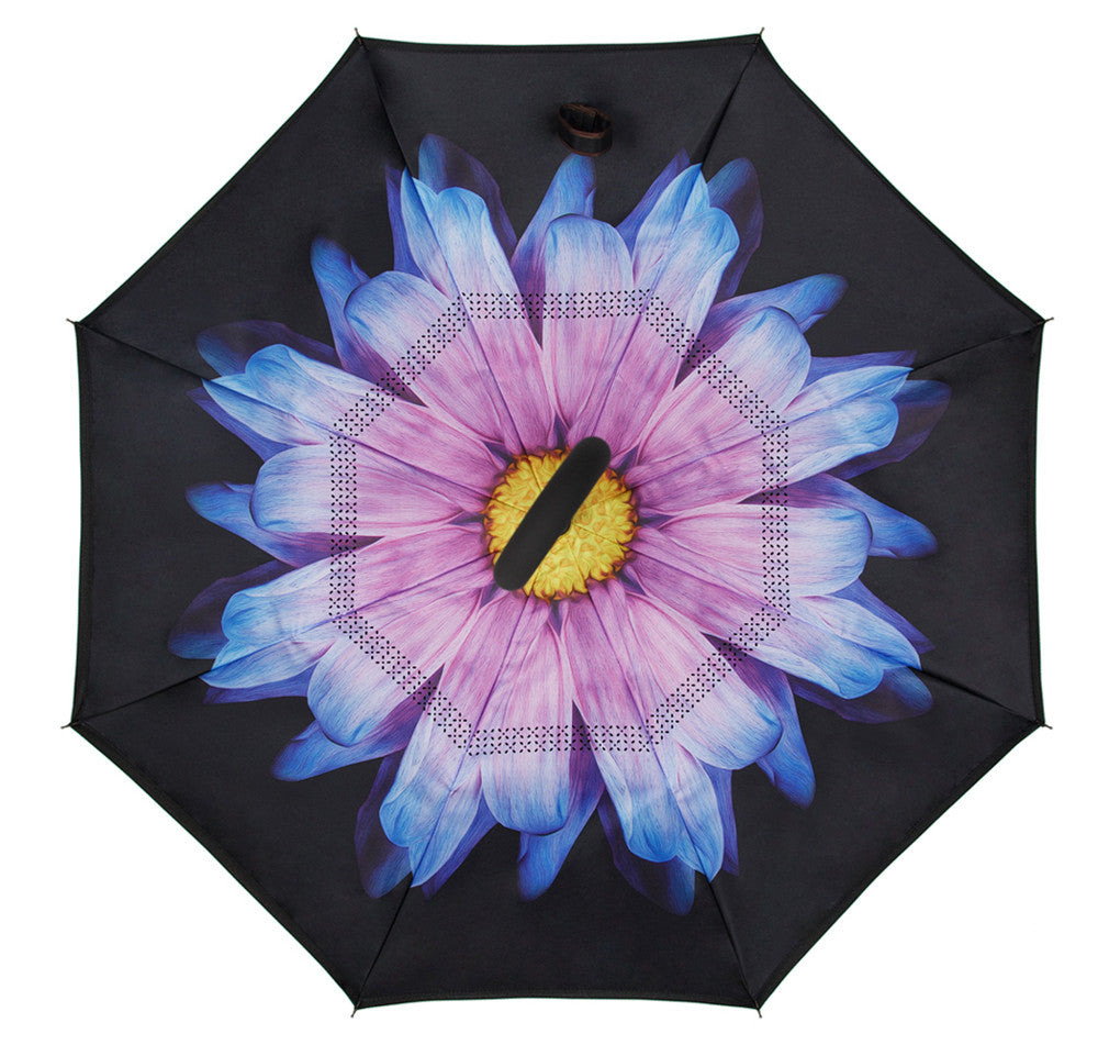 Reverse Umbrella