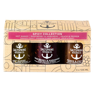 SaltSpring Jam Trio