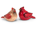 Cardinal Salt & Pepper Shakers