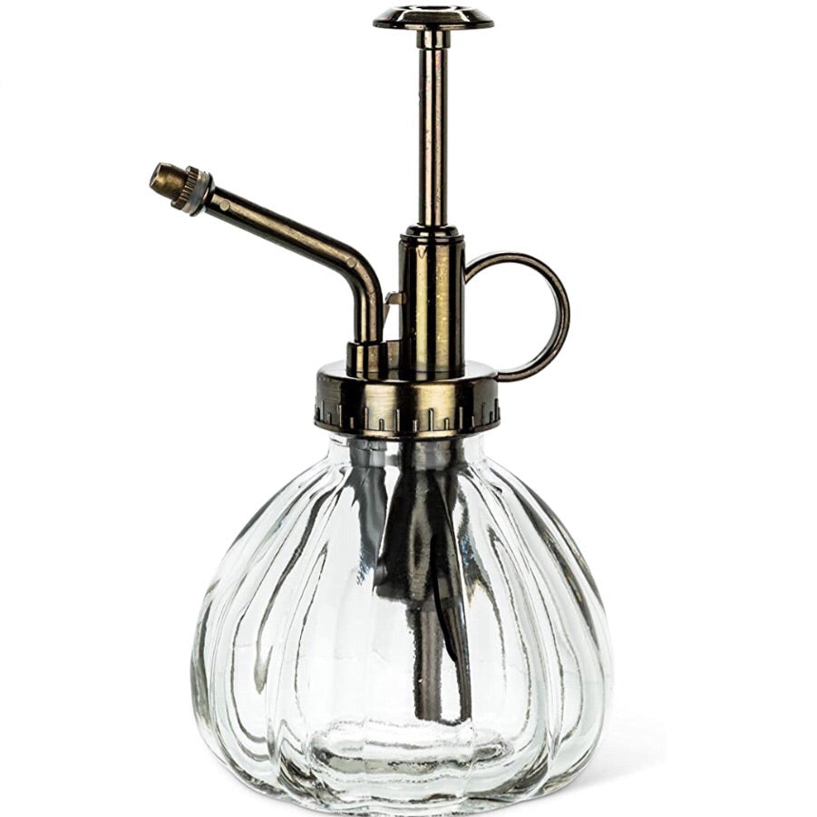 Clear Glass Plant Mister Spray Bottle