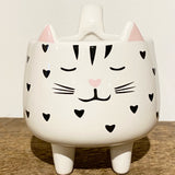 Cat Planter / Mug