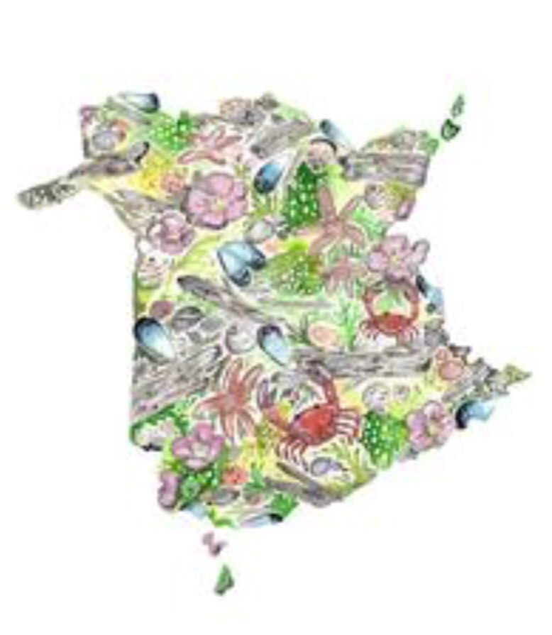 Sarah Duggan Creative Works Prints- New Brunswick Sea Shore