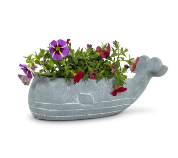 Small Low Whale Planter