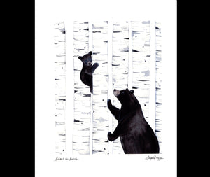 Sarah Duggan Creative Works — Bears & Birch