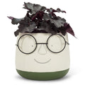 Face Planter with Glasses Green/Yellow