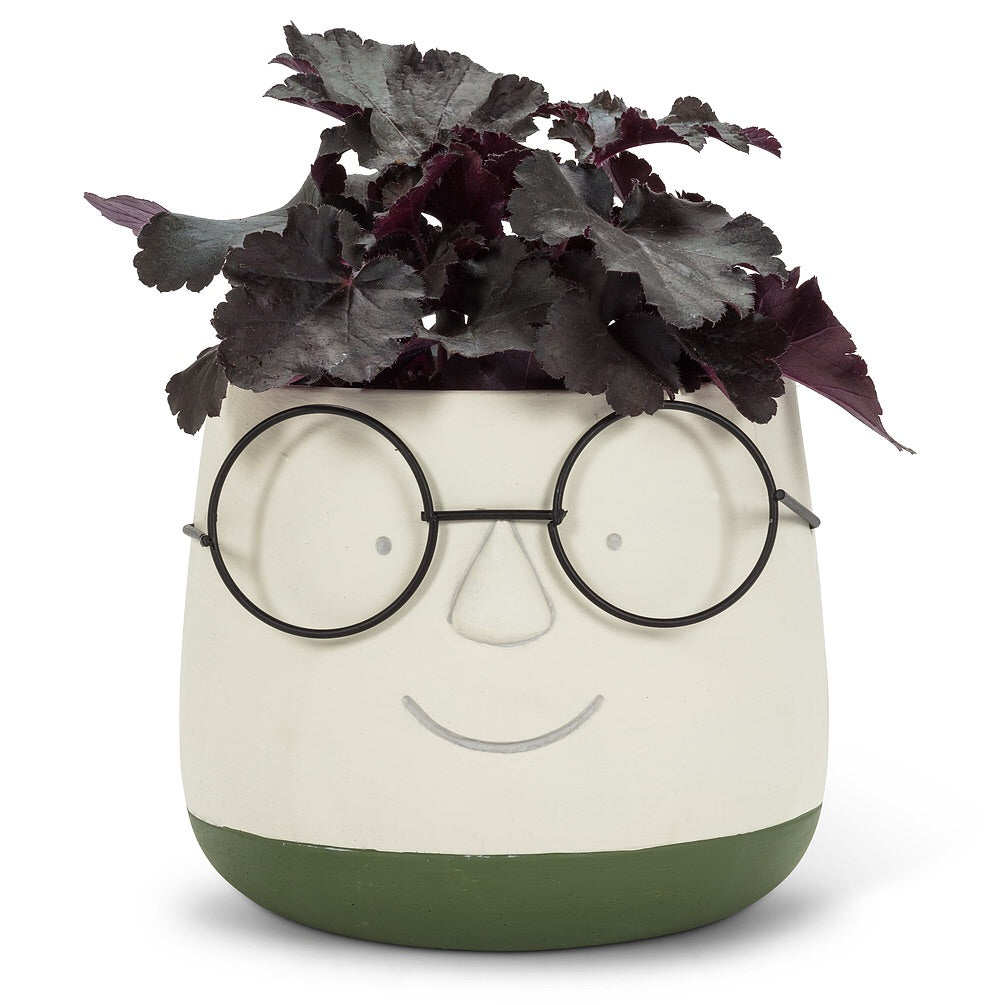 Face Planter with Glasses Green/Yellow