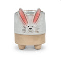 Bunny with Ears Planter