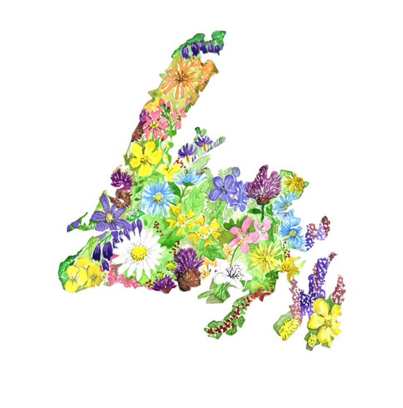 Sarah Duggan Creative Works Prints - Floral Newfoundland