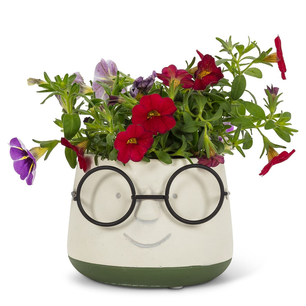 Face Planter with Glasses Green/Yellow
