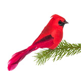Small Cardinal Bird Clip